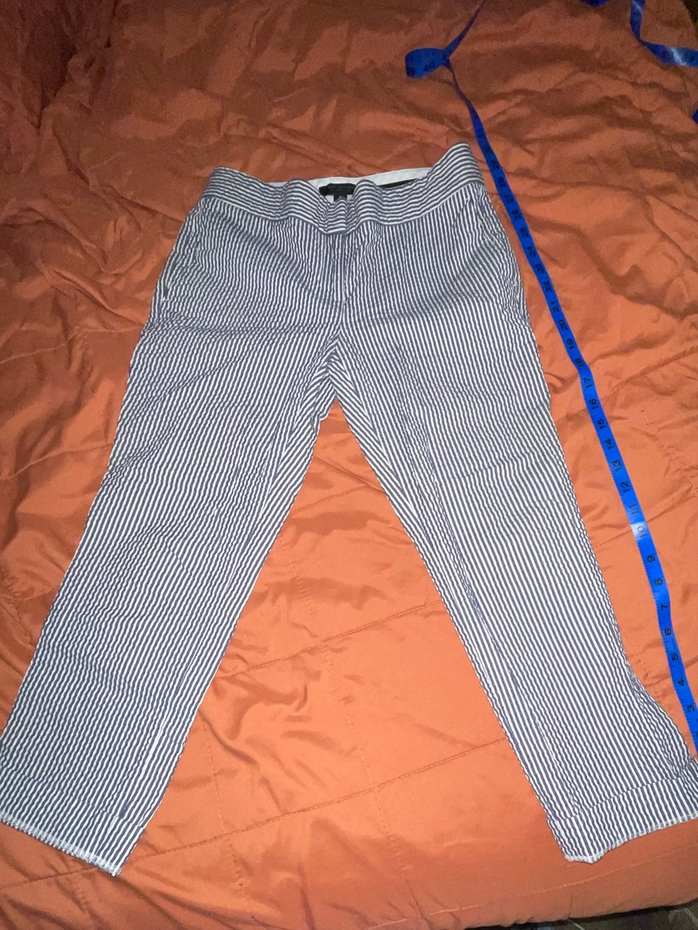 Ann Taylor Blue and White Pinstripe Chinos